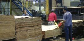 Каждый новичок на Richply начинает с распределения листов фанерного шпона